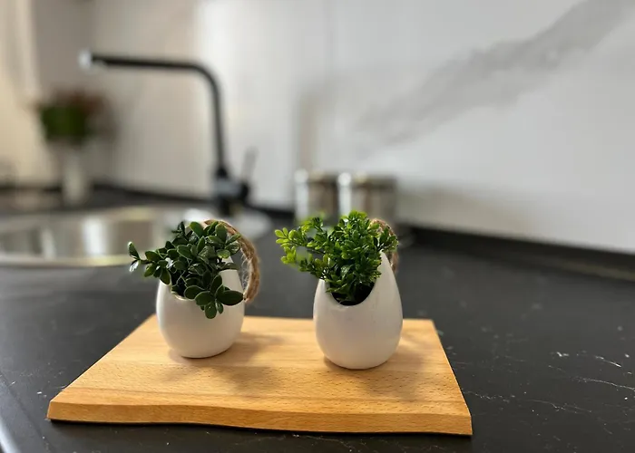 Апартаменты M Lux *